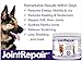 Advanced Hip & Joint Supplement for Dogs and Cats - Fast Natural Arthritis Pain Relief. Powder with Glucosamine, Chondroitin, MSM, Hyaluronic Acid & Omega 3 Fish Oil. Made in USA - 60 Scoops.