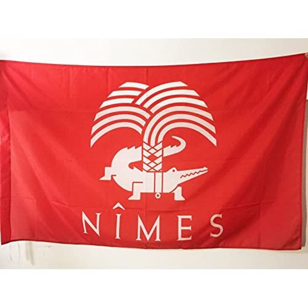 AZ FLAG - City of Nîmes Flag - 2x3 Ft - Nimes crocodile Banner with Sleeve - 100% Polyester - Fade Resistant - Vivid Colors - 2' x 3' Feet - 90x60 Cm