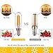 T25 4W Tubular LED Bulb,Edison LED Filament Pendant Lighting, Vintage E12 Candelabra Base LED Light,40w Incandescent Replacements,Warm White 2700K, Dimmable Night Light Bulbs,5 Pack