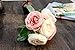 Iuhan Fashion Artificial Rose Silk Flowers 5 Flower Head Leaf Garden Decor DIY