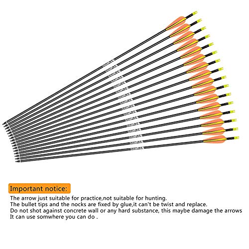 WDLHQC Fiberglass Arrows Archery 31 Inch Target Shooting Practice Arrows Recurve Bows Suitable for Youth Compound & Recurve Bow Target (12Pcs/Pack) - Thumbnail 4