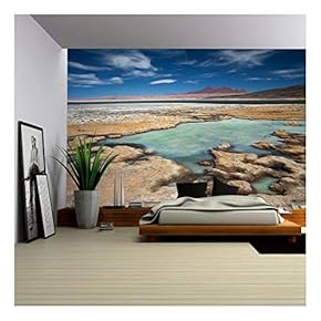 Salar De Tara, Desert Atacama, Chile - Removable Wall Mural | Self-Adhesive Large Wallpaper - 66x96 inches