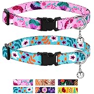 CollarDirect Cat Collar with Bell Floral Pattern 2 Pack Set Flower Adjustable Safety Breakaway Collars for Cats Kitten (Pink + Aquamarine)
