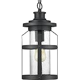 Progress Lighting Haslett Collection 1-Light Clear Seeded Glass Farmhouse Outdoor Hanging Lantern Light Textured Black