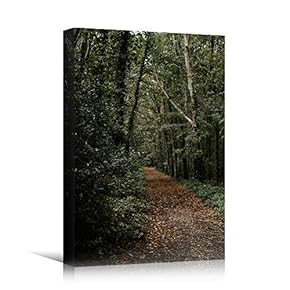 signwin Canvas Wall Art Green Forest Dramatic Forest...