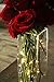 Fairy Lights Battery Operated - Non Blinking- 9ft 8in - Set of 1, Warm White