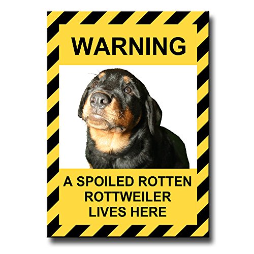 Rottweiler Spoiled Rotten Fridge Magnet No 1 Funny