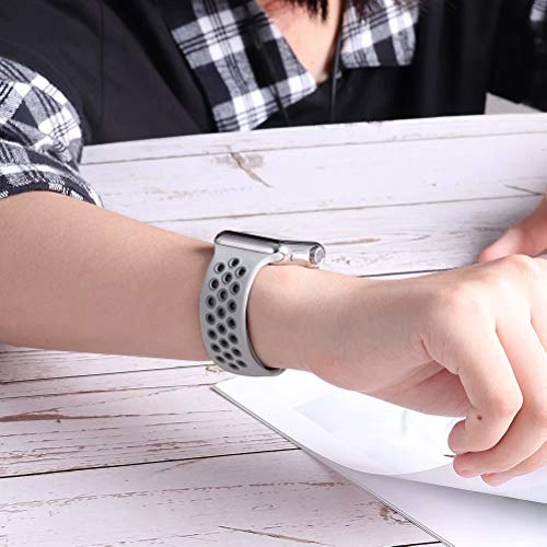 spruce fog apple watch