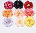 RoyaLily 4.7'' Poney Flower Wedding Hair Accessories Festival Hair Clips and Pin Party Brooch (Fuchsia Purple)