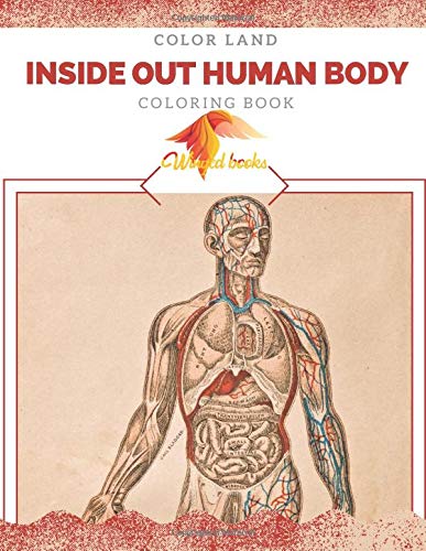 Color Land Inside Out Human Body Anatomy Coloring Book With Bodypedia Tour Bones Muscles Encyclopedias Patterns For Relaxation Books Winged 9798668756766 Amazon Com Books