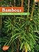 Bambous. Les 50 meilleurs au jardin et en pot (Médium) (French Edition) by 