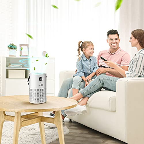 Housmile Air Purifier for Home,Air Cleaner with True HEPA Filter,3 Speeds Desktop Air Cleaner,Portable Purifiers for Dust, Smokers, Pollen, Pet Dander, Hay Fever, Cooking Smell(Gray)