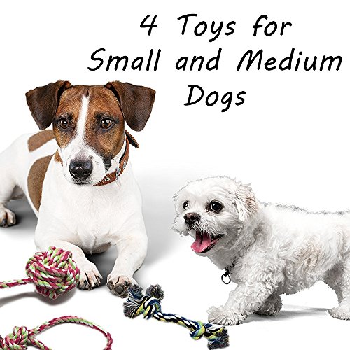 Otterly Pets Puppy Dog Pet Rope Toys For Small to Medium Dogs (Set of 4) Pet Supplies, Dogs, Toys, Ropes