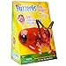 Insect Lore Buzzerks-Fireant