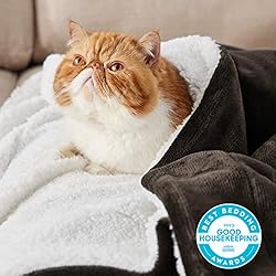 Bedsure Sherpa Fleece Throw Blanket for Couch
