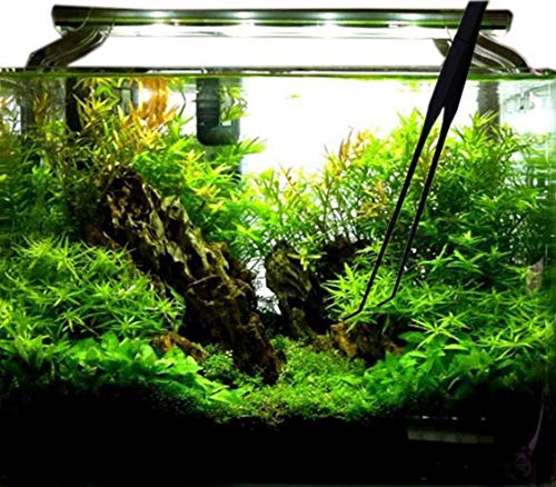 5 Aquarium+Tweezers+Stainless+Straight+Aquatic