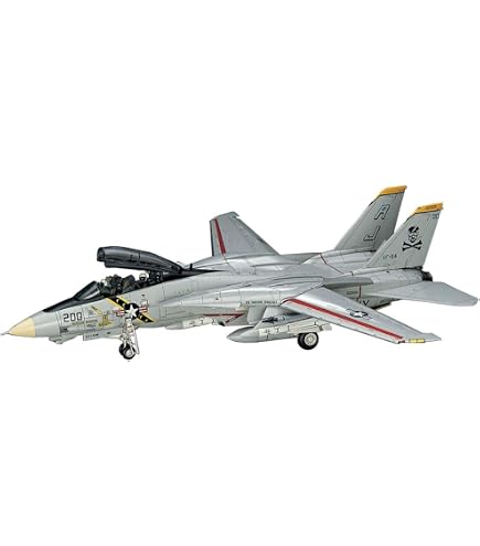 Amazon.com: Hasegawa F-14D Tomcat VF-213 Blacklions Last Cruise