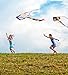 Kids Large Rainbow Delta Kite - the Best Outdoor Toys for Summer Beach Fun, Durable Easy Flyer Comes with Kite Reel Rods and Happy Family Time