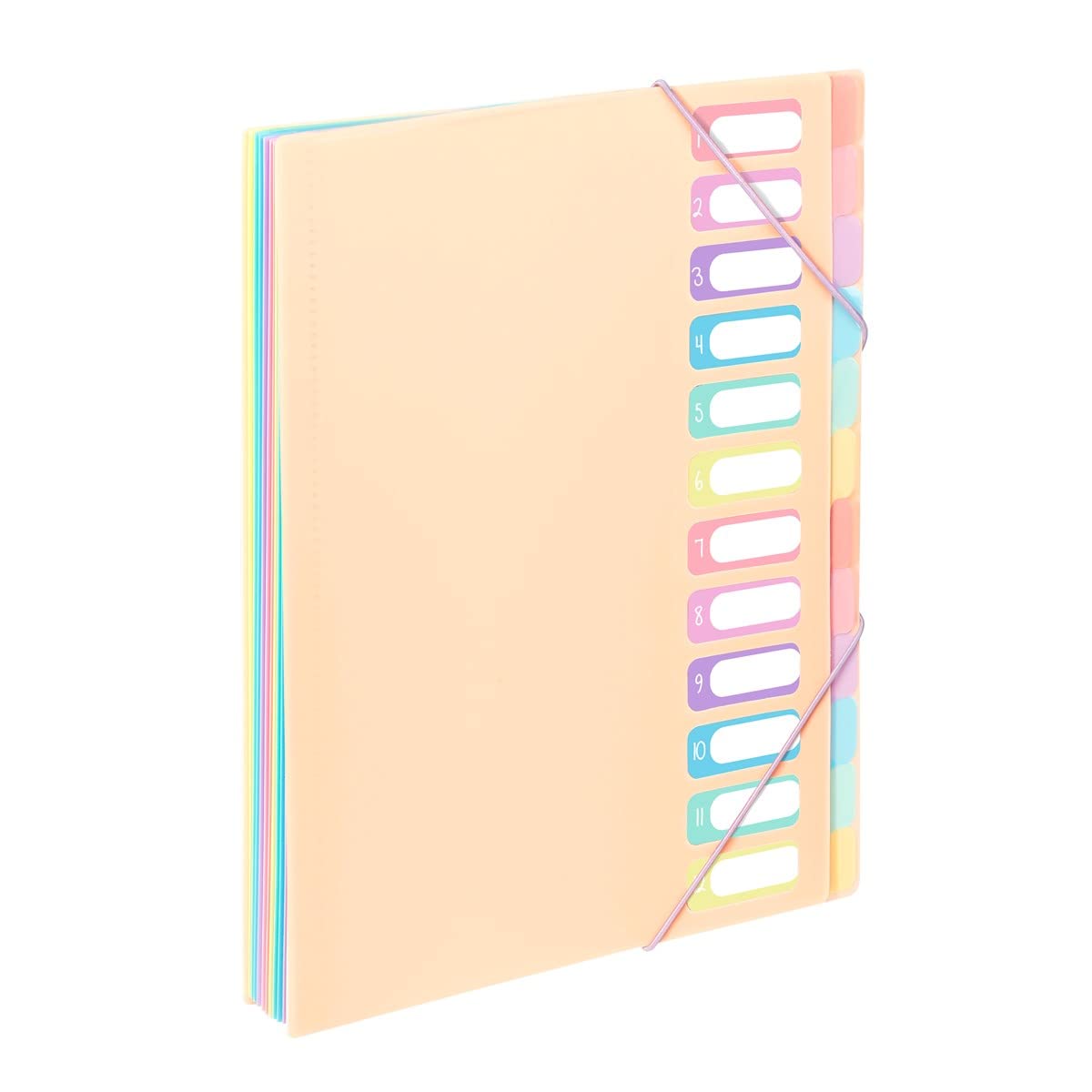 Viquel - A4 Document Folder with 12 compartments Rainbow Pastel