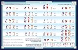 Tot Talk Hebrew Alphabet Educational Placemat for Kids, Washable and Long-Lasting