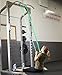 SERIOUS STEEL FITNESS Assisted 41