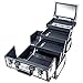 SHANY Premier Fantasy Professional Makeup Train Case Cosmetic Box Portable Makeup Case Organizer Jewelry storage with Locks, 3 Trays, Makeup Brush Holder and Cosmetics Mirror - Snow White