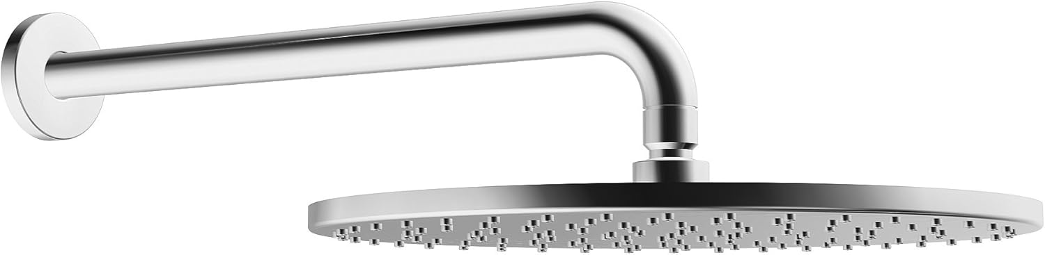 Hansa Armaturen HansaViva Kopfbrause 300mm (Chrom, 44260300)