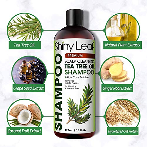 Tea Tree Shampoo with Scalp Cleansing Formula, Natural AntiDandruff and Head Lice Repellent