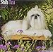 Shih Tzu Calendar - Dog Breed Calendars - 2019 - 2020 Wall Calendars - 16 Month by Avonside (Multili by