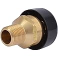 Cash Acme 22397-0000LF VR-801 Vacuum Relief Valve Vent with Dust Cover, 1/2-Inch, Bronze