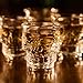 Circleware Skull Face Heavy Base Whiskey Shot Glasses, Set of 6 Party Home Entertainment Dining Beverage Drinking Glassware for Brandy, Liquor, Bar Decor, Jello Cups, 1.7 oz, Fun Shooters, 1.75 oz,