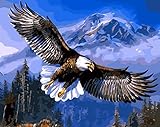 SHIYIXING DIY Oil Painting, Adult Children's Hand Painting- The Eagle soars 16 X 20 inch.