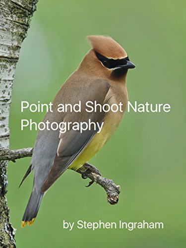 Point and Shoot Nature Photography