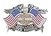 Harley-Davidson Men's United We Ride Pin, Eagle American Flags Graphic P125844
