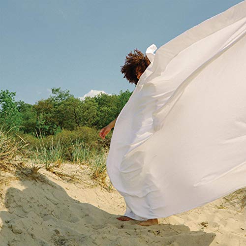 Album Art for Alone At Last by Tasha