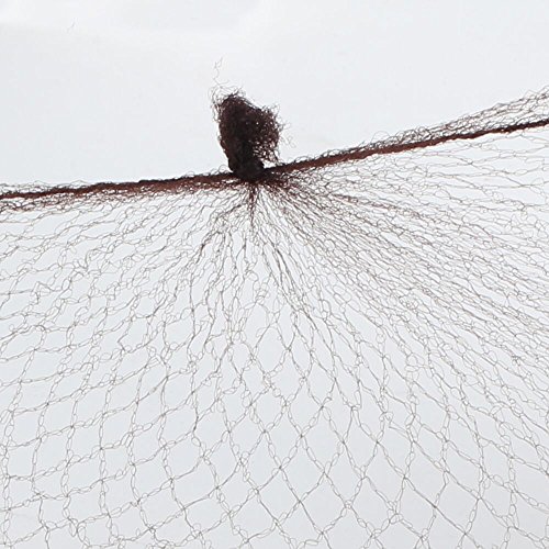 FJSM Nylon Invisible Mesh Hair Bun Net Cover Hair Weaving Bulk Net 50cm Elastic Edge for Ballet Dance Cooking Horseriding (20pcs) (Coffee)