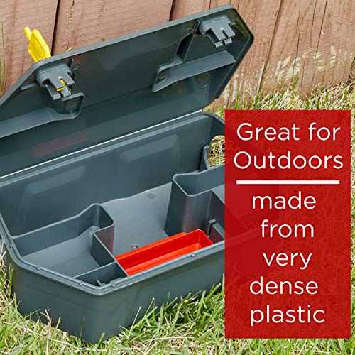 2 Station+Rodent+Eliminates+Fast+Children