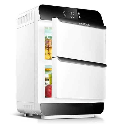 Automóviles portátiles Puerta Doble Nevera Termostato Digital de ...