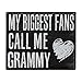 JennyGems My Biggest Fans Call Me Grammy Sign – 8x6 Black and White Wood Box Sign, Grandma Gift Décor, Tabletop or Wall Hanging