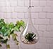 Beauto Pack of 2 Indoor Outdoor Hanging Glass Candle Holders Hanging Succulent Plant Pots Glass Hanging Planters Glass Plant Containers Hanging Flower Pots Hanging Air Plant Pots Hanging Terrariums