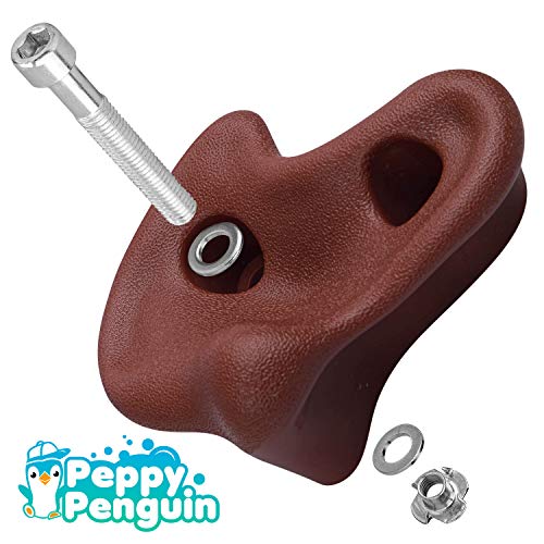 Rock Climbing Holds for Kids with Complete Installation Kit 20 Rock