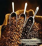 BULK Fragrance Oil - COLOMBIAN COFFEE Fragrance Oil - Wake up to this dark, finest gourmet roasted coffee-bean fragrance - By Oakland Gardens (030 mL - 1.0 fl oz Bottle)