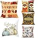 JUSTSWAG Monond AmyDong Clearance Thanksgiving Square Cover Decor Pillow Case Sofa Waist Throw Cushion Cushion Cover (E)