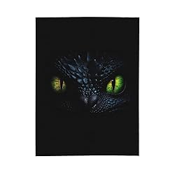 XiXiLOD Dragon Night Fury Face 02 Soft Throw