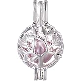 Vie jeune 10pcs Silver Pearl Cage Locket Pendants, Essential Oil Diffuser DIY Necklace Bracelet Jewelry Making Craft, Bulk Beads Aromatherapy Diffuser Charms Gifts for Women Girls