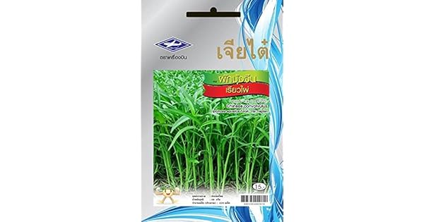 Amazon.com: 10 g 420 semillas, Chia Tai semillas, Morning ...