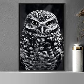 signwin Framed Canvas Wall Art Owl Birds Dramatic...