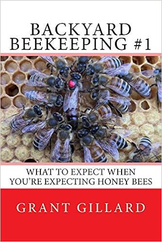 Backyard Beekeeping 1 What To Expect When You Re Expecting Honey