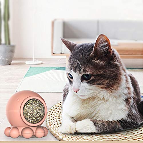 Idepet Catnip Toy for Cat, Catnip Ball Edible Kitty Toy Interactive with Octopus Shape Design Improve Appetite and Digest