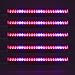 LED Grow Light for Indoor Plants, Pack of 5 Red/Blue Spectrum Indoor Plant Grow Lamp, T5 Plant Grow Light for Indoor Plants Seedling Growing and Blooming, Greenhouse, Potted Plant